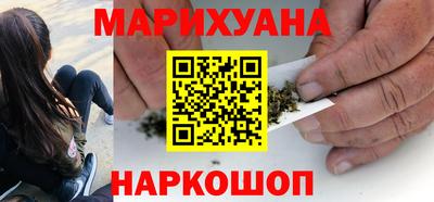 сатива Краснознаменск