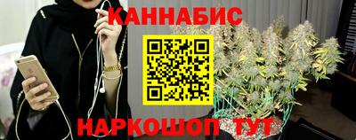 сатива Краснознаменск