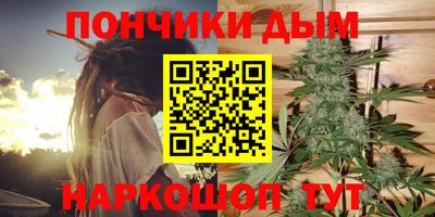 сатива Краснознаменск
