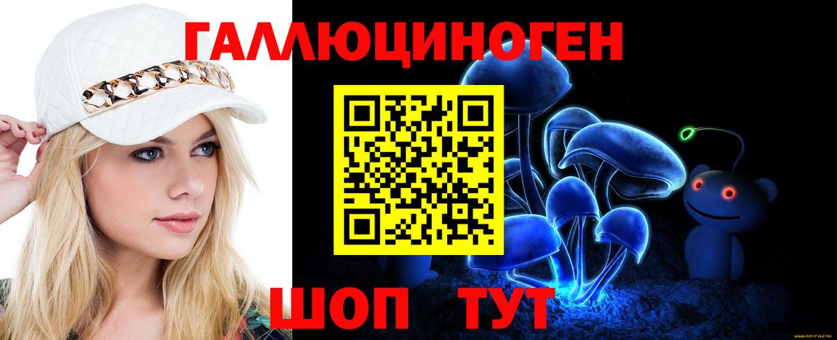 Псилоцибиновые грибы ЛСД  даркнет сайт  Королёв  Вход с VPN  Галлюциногенные грибы Psilocybine cubensis 